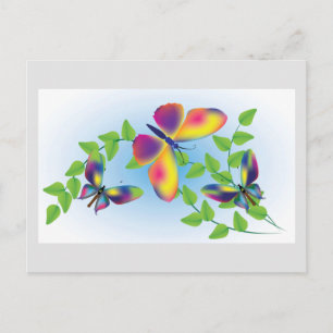 Schmetterlinge Postkarte