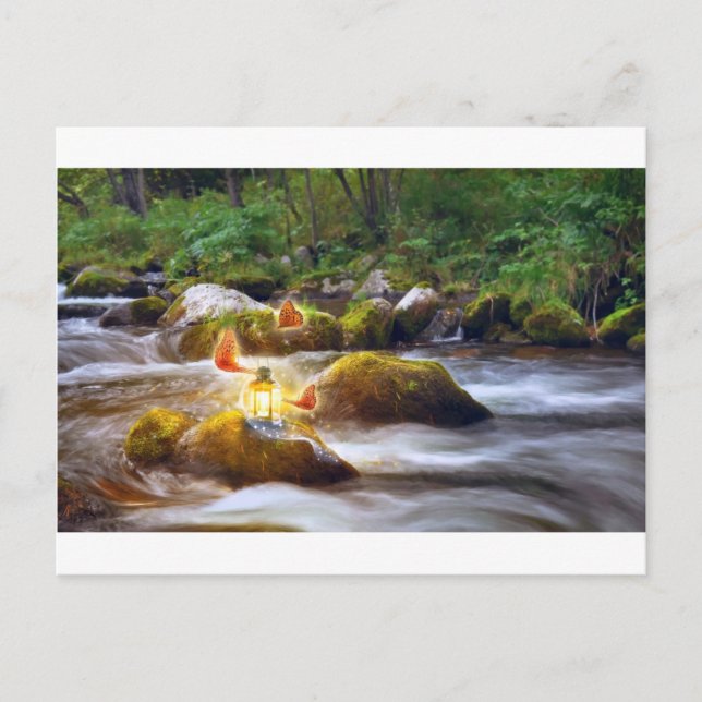 Schmetterlinge Postkarte (Vorderseite)