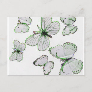 Schmetterlinge Postkarte