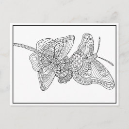 Schmetterlinge Postkartendesign - Farbkarte Postkarte