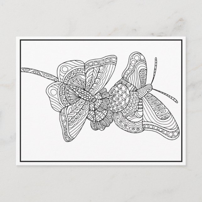 Schmetterlinge Postkartendesign - Farbkarte Postkarte (Vorderseite)