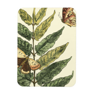 Schmetterlinge u. Blätter mit schwarzem Rahmen Magnet