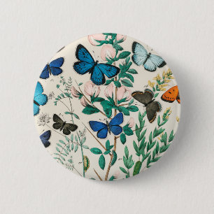 Schmetterlinge und Moths William Forsell Kirby 188 Button