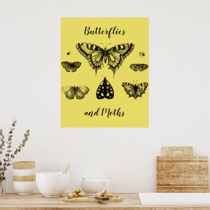 Schmetterlinge und Motten Vintage-Druck Poster
