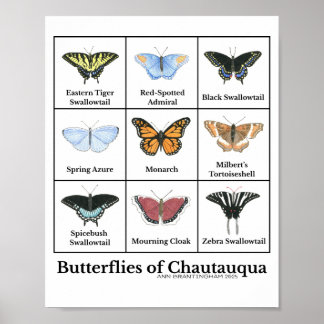 Schmetterlinge von Chautauqua Poster