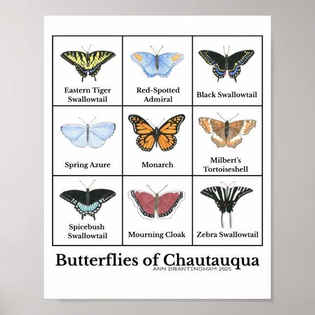 Schmetterlinge von Chautauqua Poster (Vorne)
