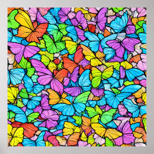 Schmetterlingposter Poster