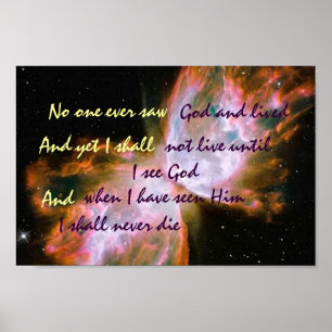 Schmetterlingposter Poster