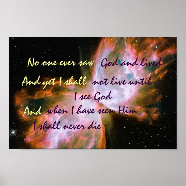 Schmetterlingposter Poster (Vorne)