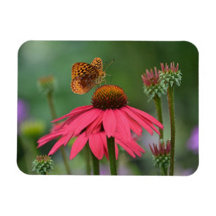 Schmetterlings-Ansammlungs-Nektar Magnet