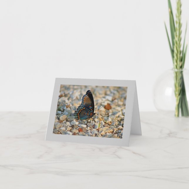 Schmetterlings-Beileids-Karte Karte (Vorderseite)