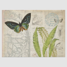 Schmetterlings-Eintagsfliegen Decoupage Papier