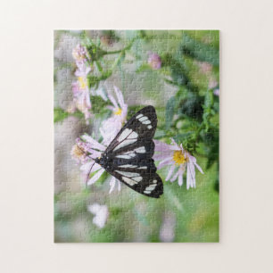 Schmetterlings-Fotografie-Puzzlespiel Puzzle