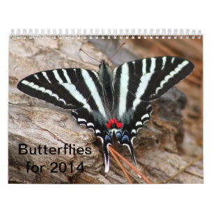 Schmetterlings-Kalender 2014 Kalender