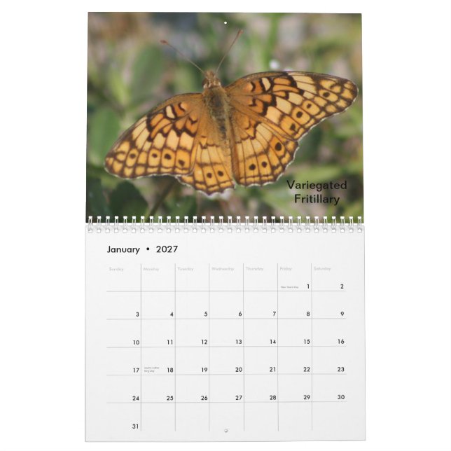 Schmetterlings-Kalender 2014 Kalender (Jan 2027)