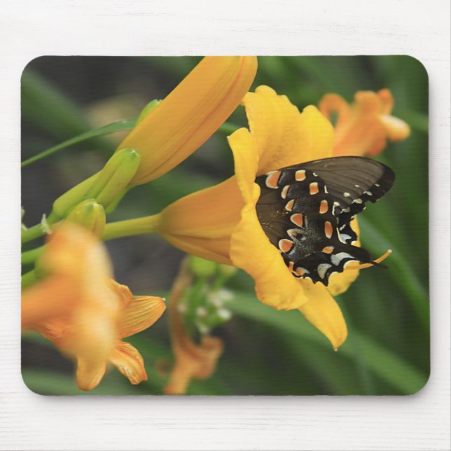 Schmetterlings-Lilie Mousepad (Vorne)