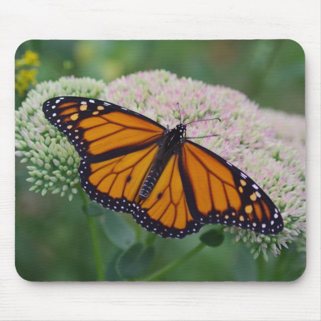 Schmetterlings-Mauspad Mousepad (Vorne)
