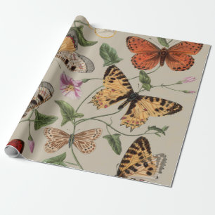 Schmetterlings-Motte-Natur-Kollektion-Zeichnung Geschenkpapier