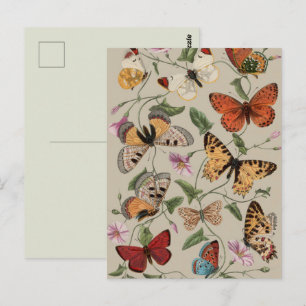 Schmetterlings-Motte-Natur-Kollektion-Zeichnung Postkarte