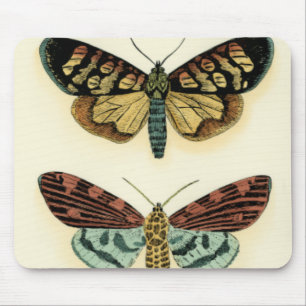 Schmetterlings-Sammlung durch Chariklia Zarris Mousepad