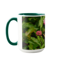 Schmetterlings-Tasse mit Milkweed-Blumen