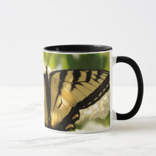Schmetterlings-Tasse Tasse