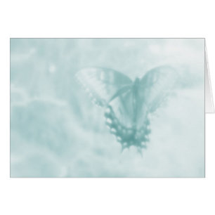 Schmetterlings-Träume