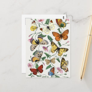 Schmetterlings- und Mottenmalerei im Vintage-Stil Postkarte