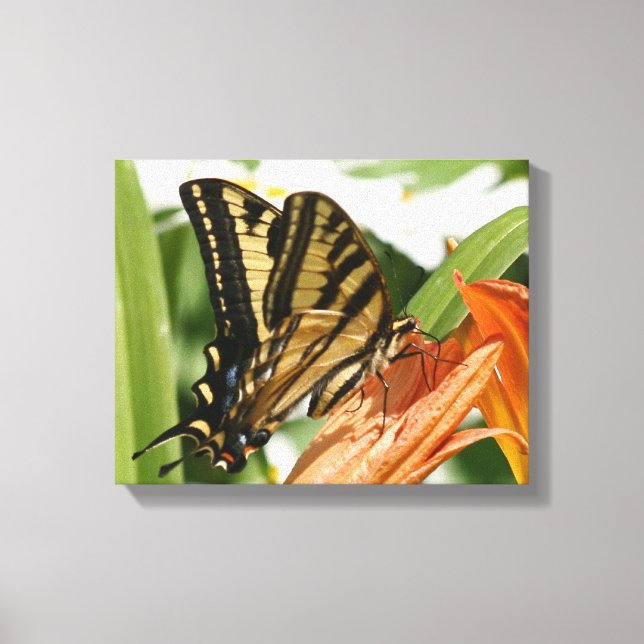 Schmetterlingsbeutelwolke Leinwanddruck (Vorderseite)