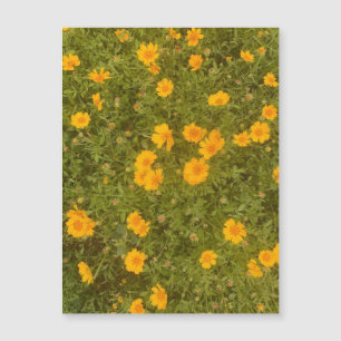 Schmetterlingsblumen-Gartenmagnet Magnetkarte