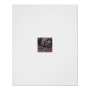 Schmetterlingsblumen-Regenbogen-Waldstrom Poster