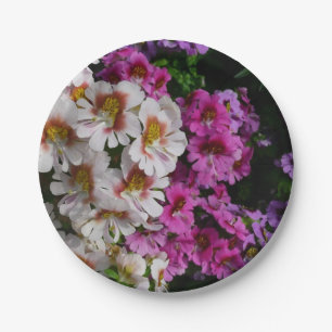 Schmetterlingsblumen Weiß Rosa und Lila Pappteller