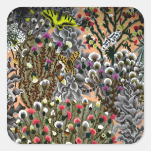 Schmetterlingsblumenweide Vintage-Naturillustratio Quadratischer Aufkleber
