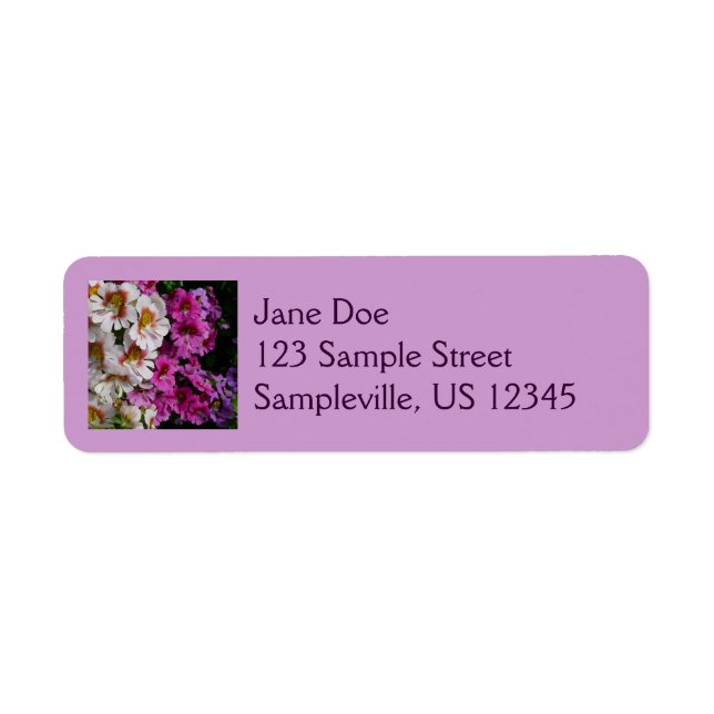 Schmetterlingsfliege Blume Weißrosa und Lila (Vorne)