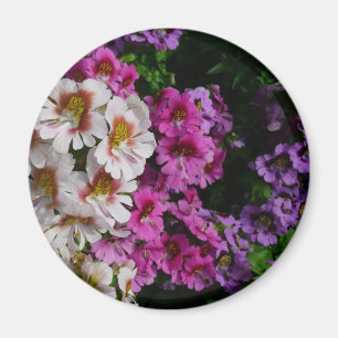 Schmetterlingsfliege Blume Weißrosa und Lila Magnet