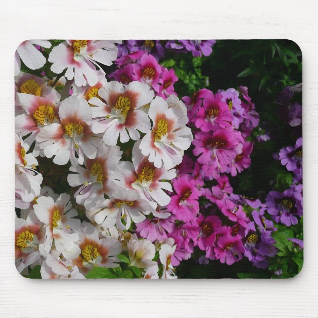 Schmetterlingsfliege Blume Weißrosa und Lila Mousepad (Vorne)