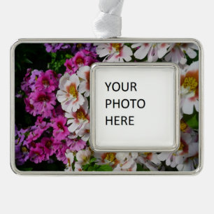 Schmetterlingsfliege Blume Weißrosa und Lila Rahmen-Ornament Silber