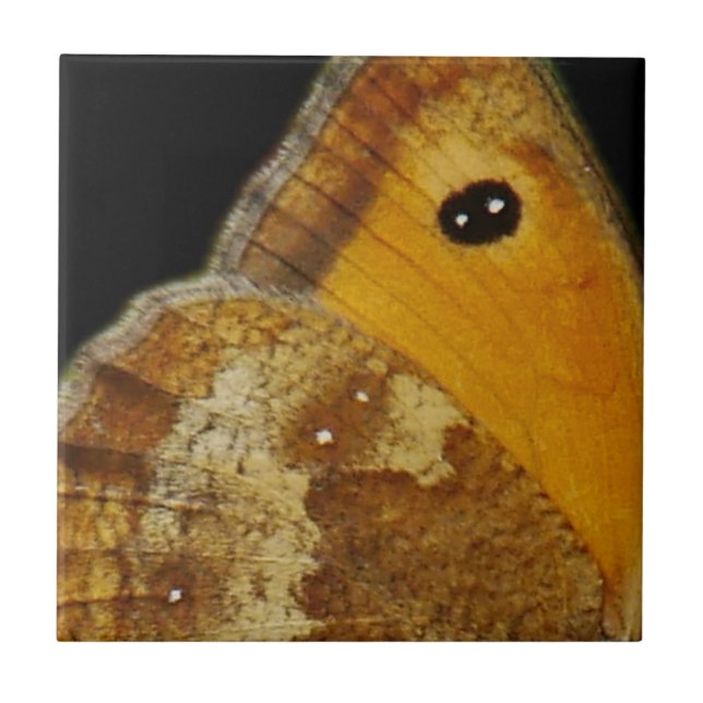 Schmetterlingsfliesen Fliese (Vorderseite)