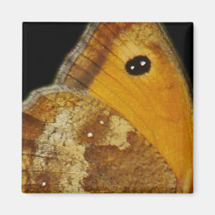 Schmetterlingsflügel Magnet
