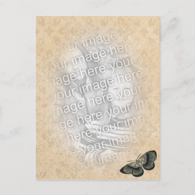 Schmetterlingsfoto Postkarte