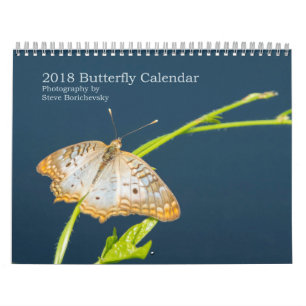 Schmetterlingskalender 2018 kalender