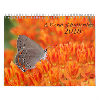 Schmetterlingskalender 2018 kalender