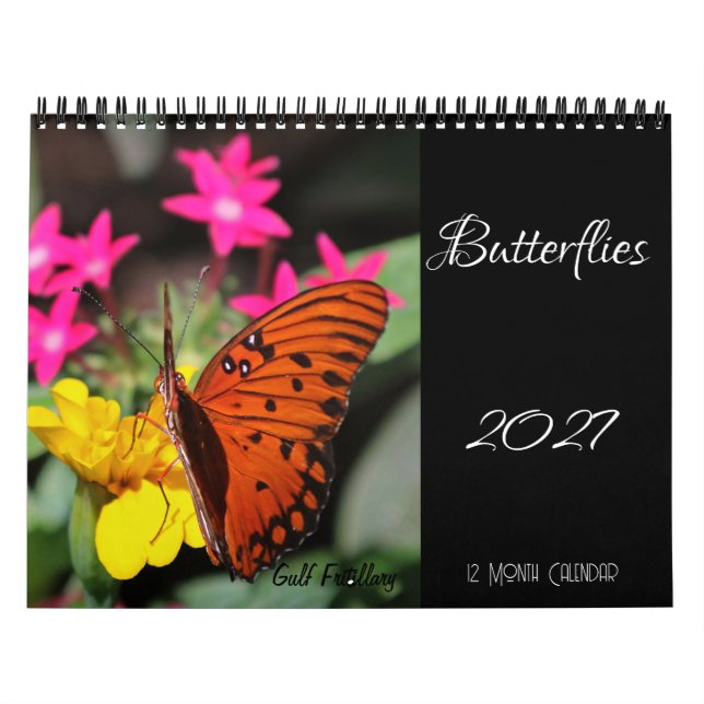 Schmetterlingskalender 2027 kalender (Titelbild)