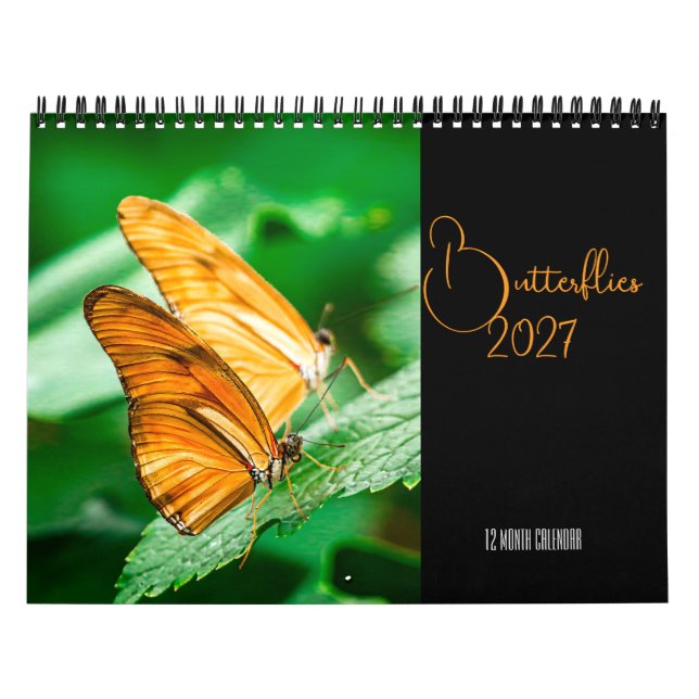 Schmetterlingskalender 2027 kalender (Titelbild)