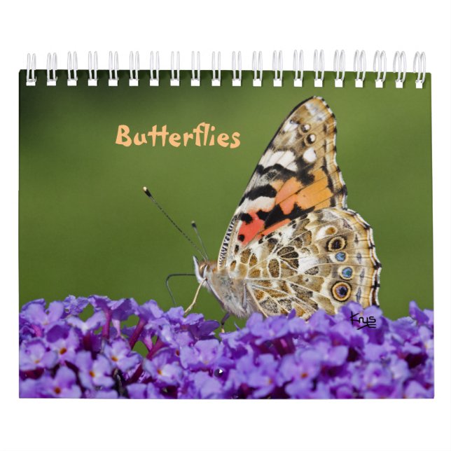 Schmetterlingskalender Kalender (Titelbild)