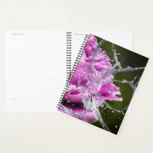 Schmetterlingskalender Planer