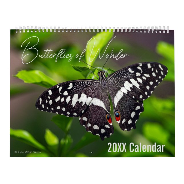Schmetterlingskalender Wählen Sie Ihren Startmonat Kalender (Titelbild)