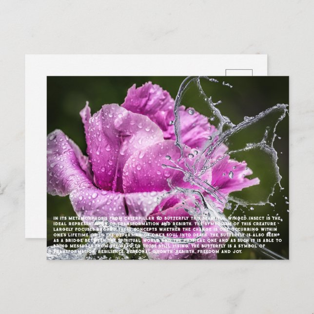 Schmetterlingskarte Feiertagspostkarte (Vorne/Hinten)