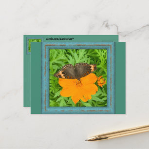 Schmetterlingskarte Postkarte