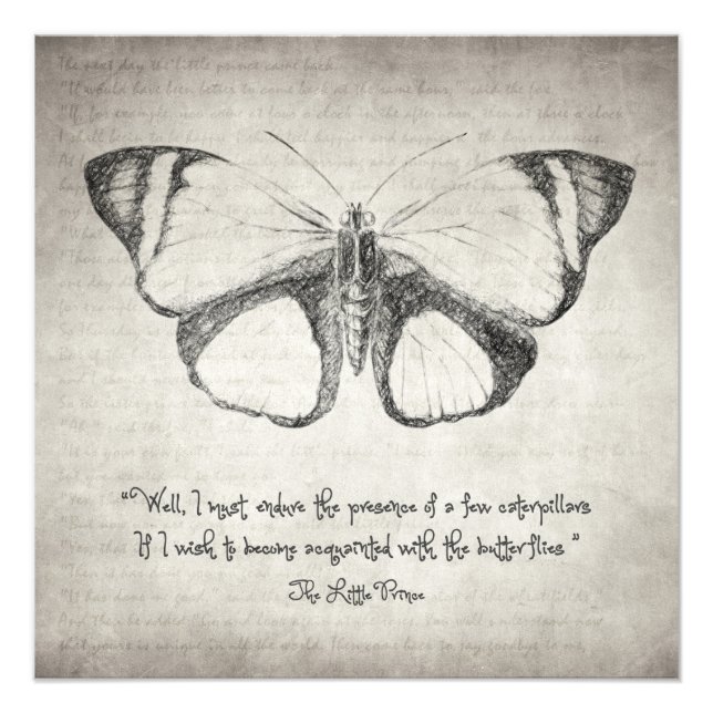 Schmetterlingskostenvoranschlag Fotodruck (Vorne)